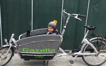 Bild Cargo Bikes